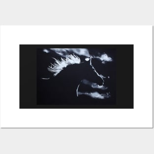 Running Wild - Silhouette of Horse Posters and Art